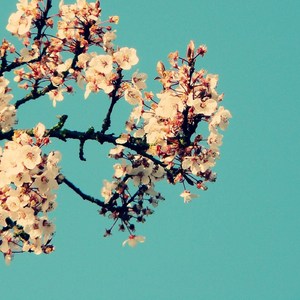 《女仆教育》动漫第一季
