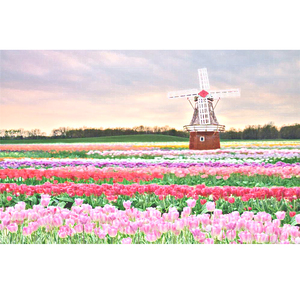 《女仆教育》动漫第一季
