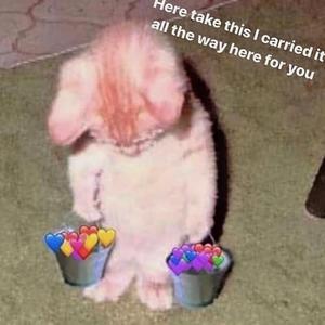 《女仆教育》动漫第一季
